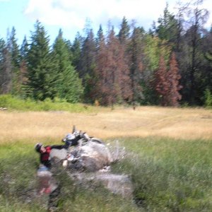 DSCN0337