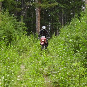 SBW_preride_july06-2