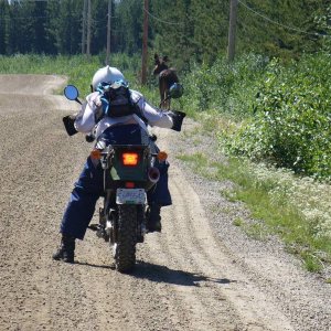SBW_preride_july06-8