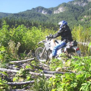 Chipmunk Creek