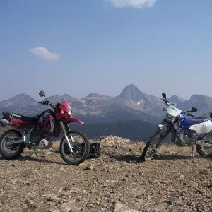 Baldymtn11