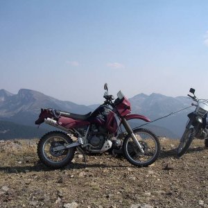 Baldymtn10