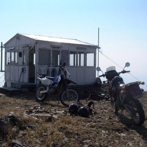 Baldymtn09