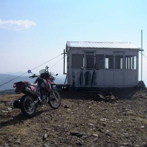 Baldymtn08