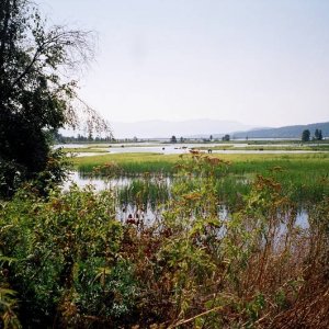 Lake Pend Oreille, Idaho