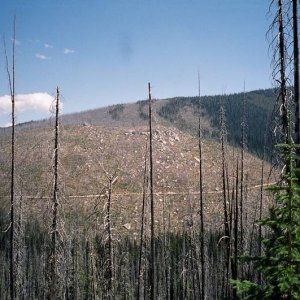 Magruder burn (one of many!)