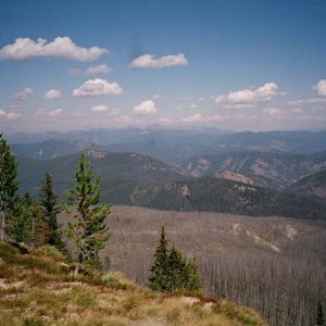 Observation Point
