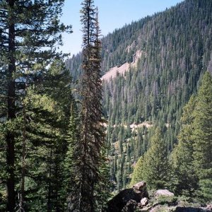 Skalkaho Pass road