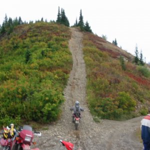Lost_Bear_-_Rocke_going_for_straglers