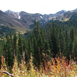 Taylor Basin