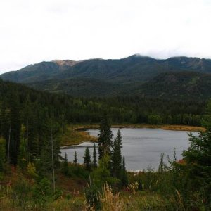 Plateau Ponds (Gun Lake trails)