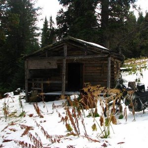 Cabin near Poison Mt