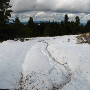 Near Poison Mt