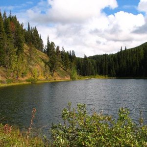 Mud Lakes