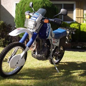 Bomba's 1986 Suzuki DR600 Dakar