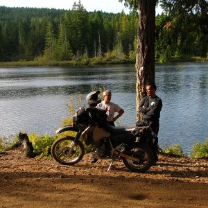 The New KLR