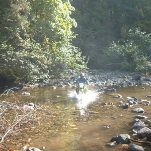 Speed trying to Fish