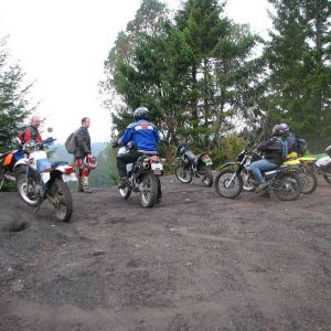 The group on the top