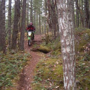 2006_0227TRANSCANTRAIL0007