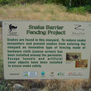 Glad_to_see_the_snakes_are_safe