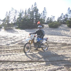 Doug_to_beach