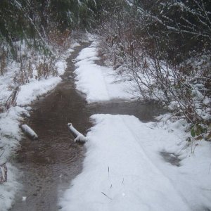 2006_0328CopperCanyon0010