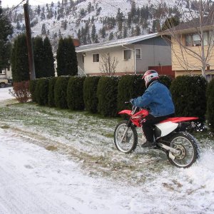 Connor_s_new_crf_009