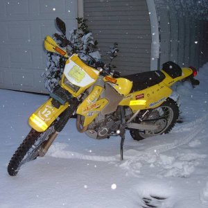 More Snow