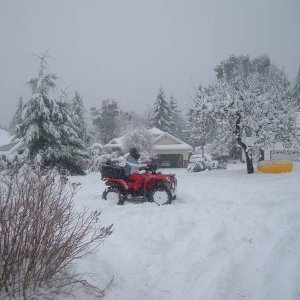 2006_04111stsnow060007
