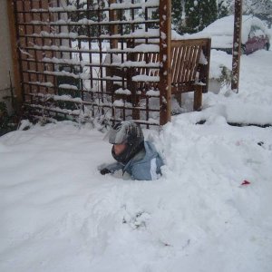 2006_04111stsnow060010