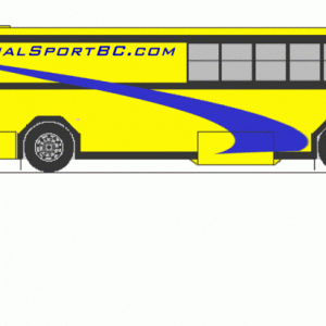 The New Bus