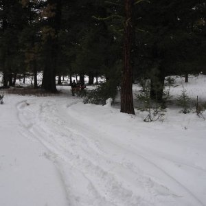 jan_2_07_022