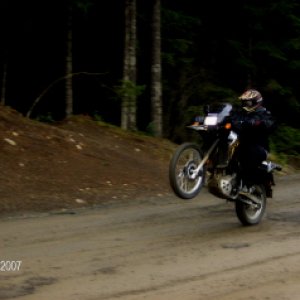 who says KLR's won't wheelie?