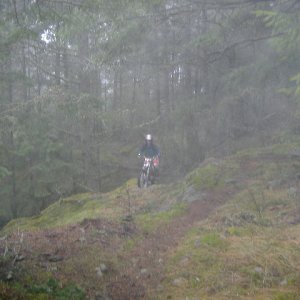 2006_0226trial2470001