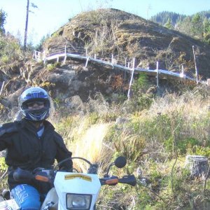 GVMC_bridge