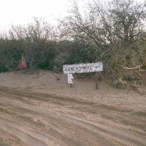 I guess that GPS works - we found it