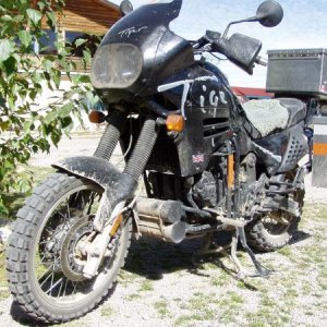 Fishnbiker's Tiger "Felix"