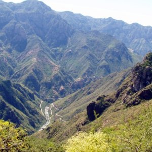 Looking into Batopilas River Canyon