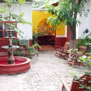 Garden in Batopilas restaurant