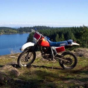 Trusty old Steed