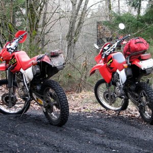 XR650L x 2