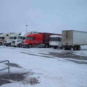 Big White Shadow Bus