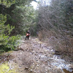 MARCH252007_005