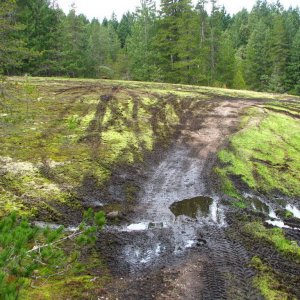 Meadows destroyed