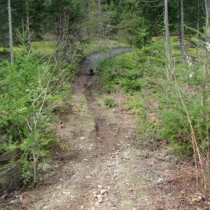 Was single track