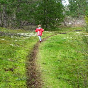 Nice single track through Meadows