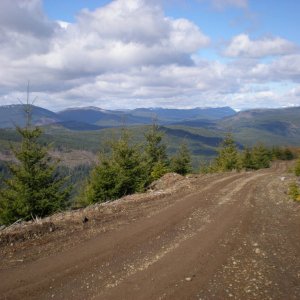 P3310002