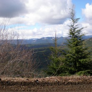 P3310003