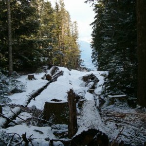 sumas mt lookout trail apr 1