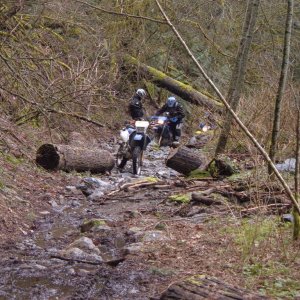 April 1 Spuzzum American Creek Nickelmine